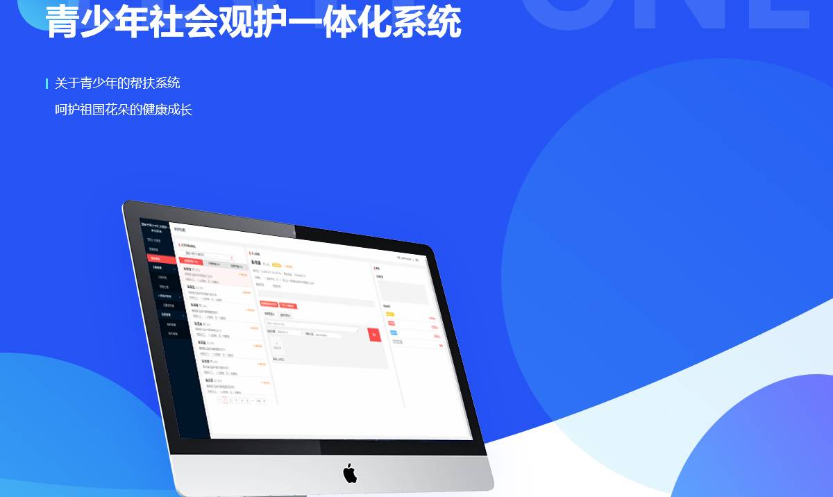 青少年社会观护一体化系统案例封面