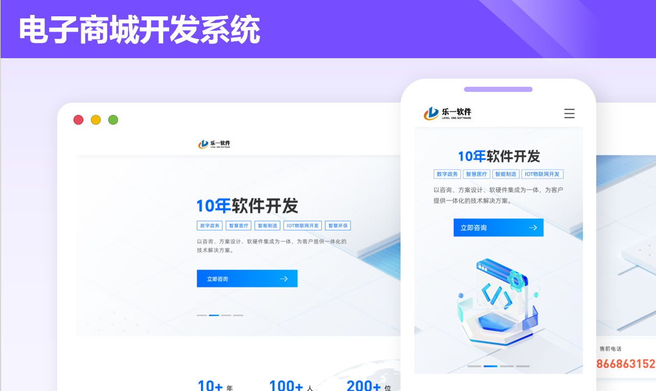 电子商城开发系统案例封面